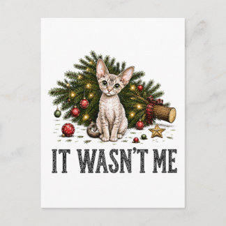Lustige Devon Rex Katzen Weihnachten Es War Nicht Postkarte
