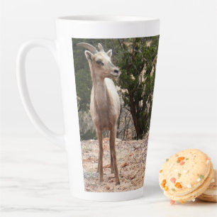 Lustige Dickhornschafe im Zion-Nationalpark Milchtasse