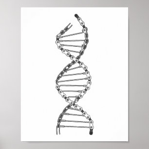 Lustige DNA Radfahren Fahrrad Kette Mountainbike L Poster
