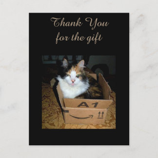 Lustige dreifarbige Katze in Karton Danke Postkart Postkarte