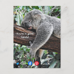 lustige echte Anwesen Postkarte entspannt koala