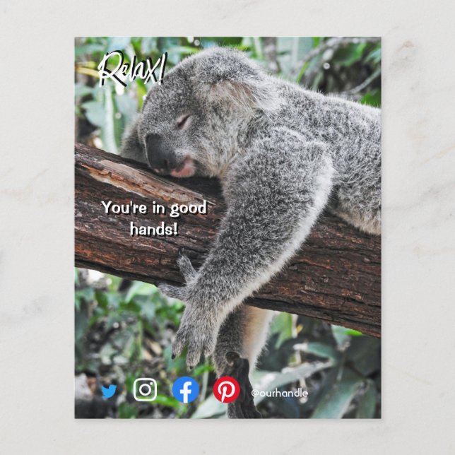 lustige echte Anwesen Postkarte entspannt koala Flyer (Vorne)