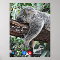 lustige echte Anwesen Postkarte entspannt koala