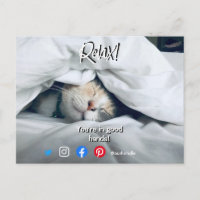 lustige echte Anwesen Postkarte entspannte Katze