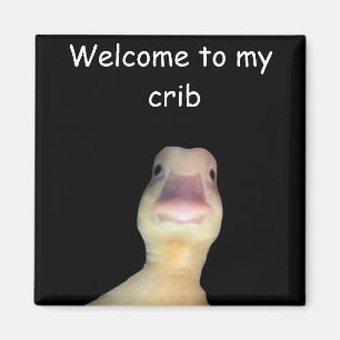 Lustige Enten-Meme – „Willkommen in meiner Bude“ S Magnet
