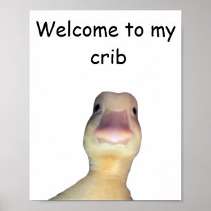 Lustige Enten-Meme – „Willkommen in meiner Bude“ S Poster