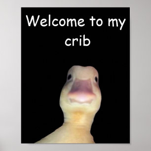 Lustige Enten-Meme – „Willkommen in meiner Bude“ S Poster