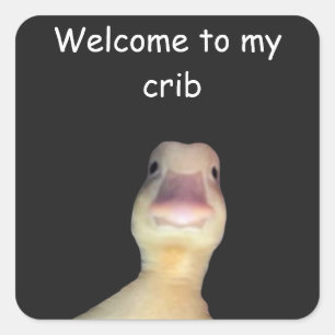 Lustige Enten-Meme – „Willkommen in meiner Bude“ S Quadratischer Aufkleber