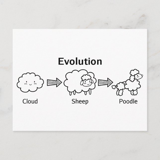 Lustige Evolution der Wolke in Schafe und in Pudel Postkarte (Vorderseite)