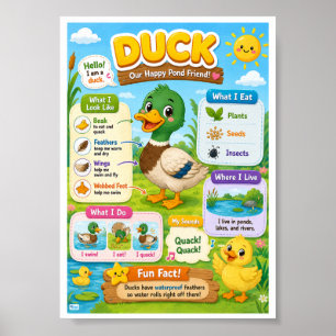 Lustige Fakten über Enten für Kinder Poster