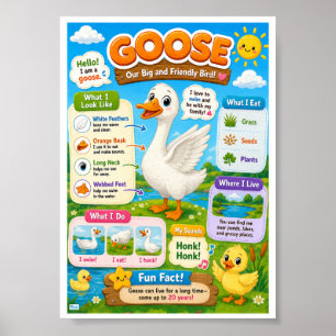 Lustige Fakten über Gänse für Kinder Poster