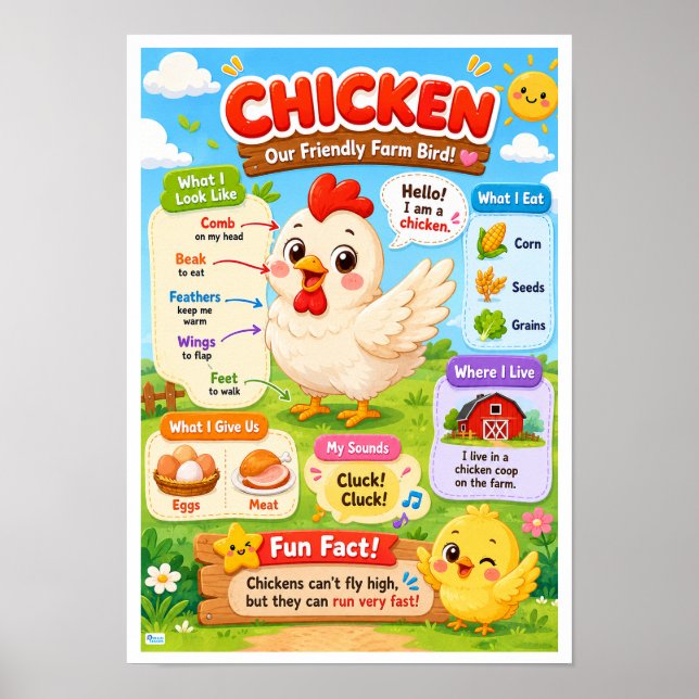 Lustige Fakten über Hühner für Kinder Poster (Vorne)