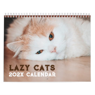 Lustige faule Katzen 2027 Kalender
