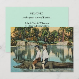 Lustige Florida-Alligator-Umsiedlungsankündigung