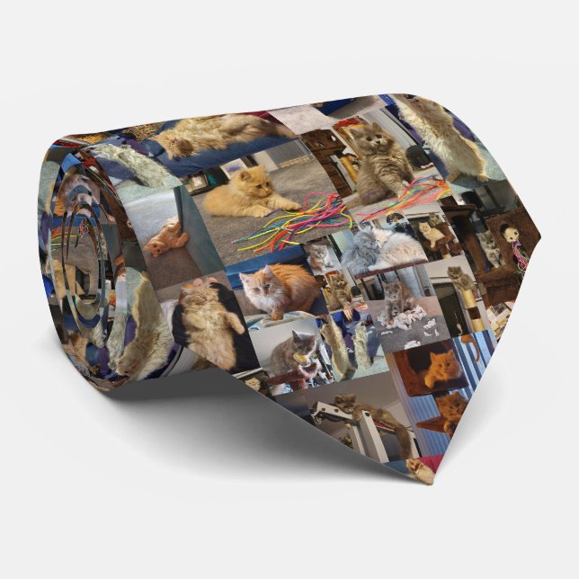 Lustige Fluffy Kittens Foto Collage, Krawatte (Gerollt)