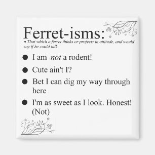 Lustige Frettchen-Geschenke Magnet