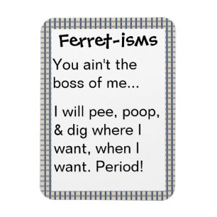 Lustige Frettchen-Theorie Zitate Magnet