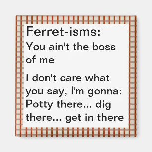 Lustige Frettchen-Theorie Zitate Magnet