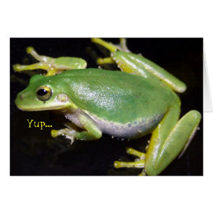 Lustige Frosch-Karte
