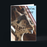 Lustige Geburtstags-Giraffe, alt, 50. Karte<br><div class="desc">Lustige Geburtstags-Giraffe,  alt,  50.</div>