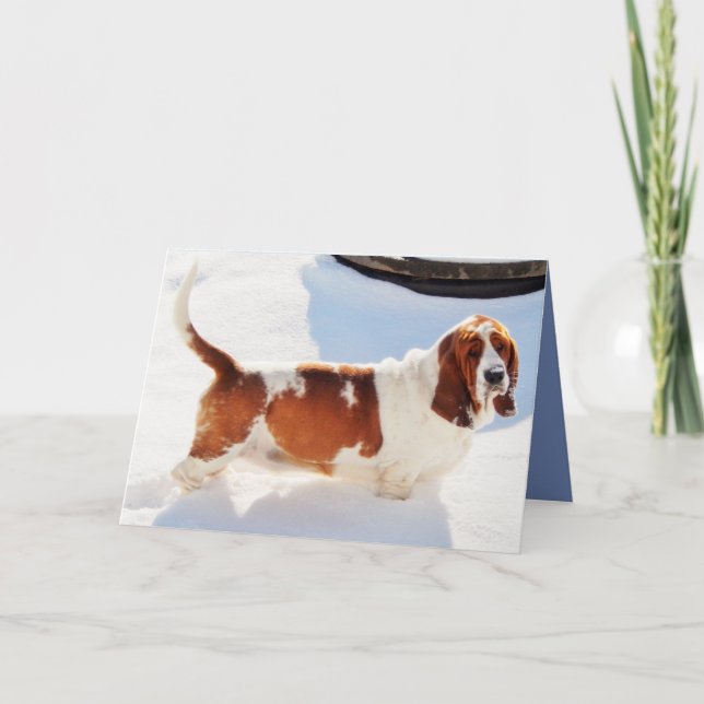 Lustige Geburtstags-Karte w/Beautiful Basset Hound Karte (Vorderseite)