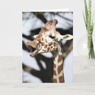 Lustige gegenübergestellte retikulierte Giraffe, Karte