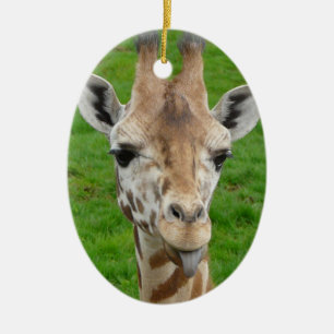 Lustige Giraffe, die heraus Zunge haftet! Keramikornament