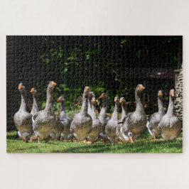 Lustige graue Gänse im Dordogne, Frankreich Puzzle