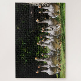 Lustige graue Gänse im Dordogne, Frankreich Puzzle