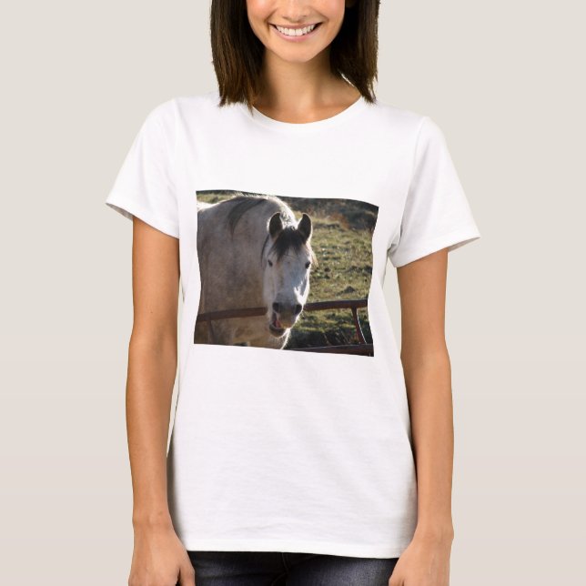 Lustige graue Stute T-Shirt (Vorderseite)
