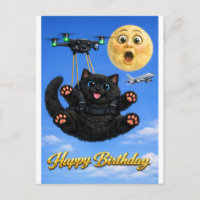 Lustige große schwarze Katze Drohnenflug Alles Gut
