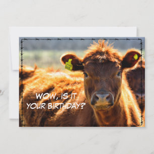 Lustige Happy Birthday Landmail-Geschichten vom Ba Feiertagskarte