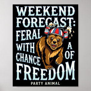 Lustige Herren Grizzlybär patriotischer Sommer Fre Poster