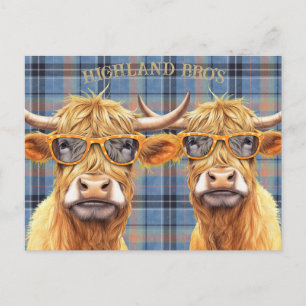 Lustige Highland-Kuh mit Sonnenbrille Postkarte