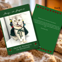Lustige Humor Sprüche Festliche Haustier-Foto Katz