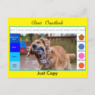 Lustige Hunde-Bildungs-Spiele Postkarte