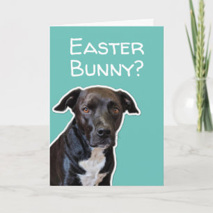 Lustige Hunde-Liebhaber Osterhasen-Karte Karte