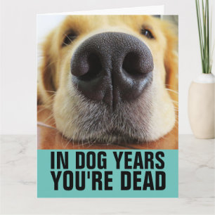 LUSTIGE HUNDEGEBURTSTAG HUND GRUßKARTEN KARTE