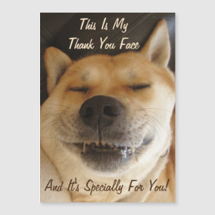 lustige japanische akita mit niedlichem Lächeln da Magnetkarte