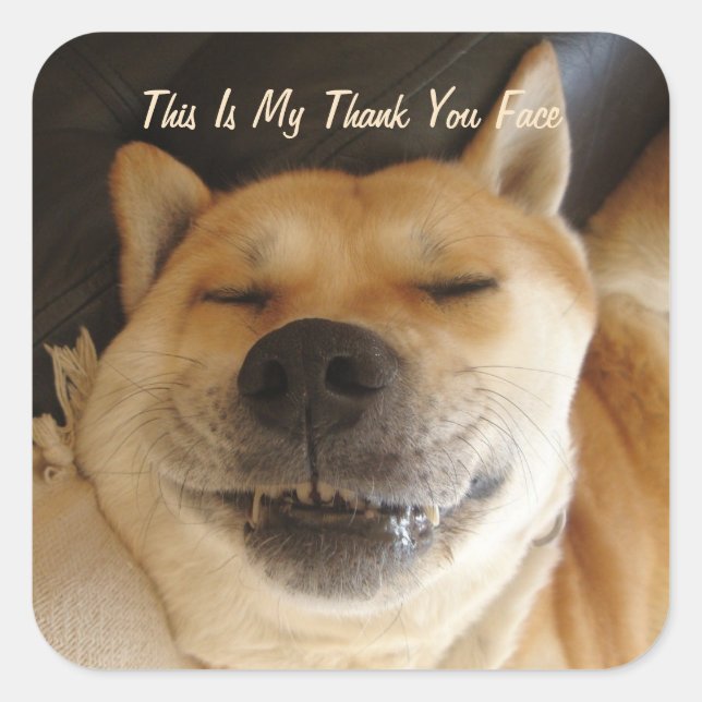 lustige japanische akita mit niedlichen jeden Anlä Quadratischer Aufkleber (Vorderseite)