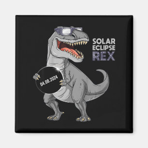 Lustige Jungs Sonnenfinsternis Rex 04 08 Magnet