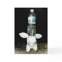 Lustige Kaninchen-Geburtstags-Karte. Seien Sie