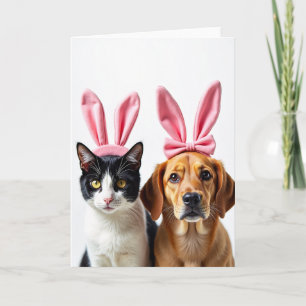 Lustige Karte für Katzen- und Hunde-Freunde