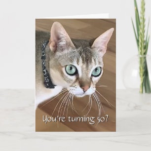 Lustige Katze 50. Geburtstagskarte Karte