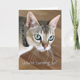 Lustige Katze 50. Geburtstagskarte Karte