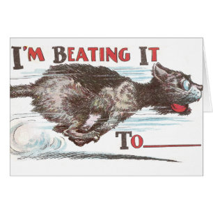 Lustige Katze auf dem Lauf