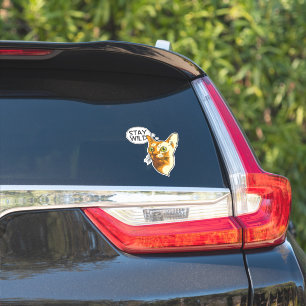 Lustige Katze Bleib Wild Tier Haustier Kätzchen Aufkleber