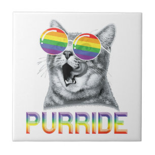 Lustige Katze Gay Pride Regenbogen Sonnenbrille LG Fliese
