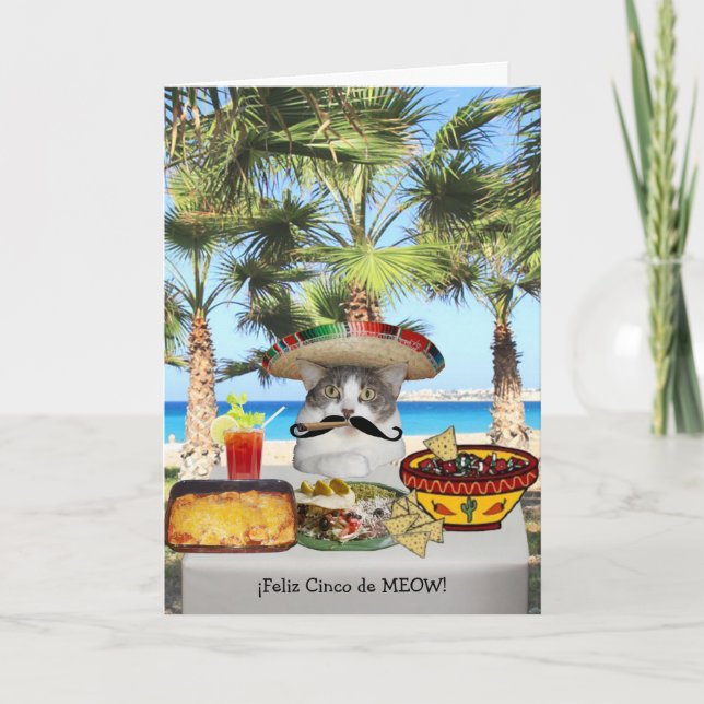 Lustige Katze glückliches Cinco De Mayo Karte (Vorderseite)