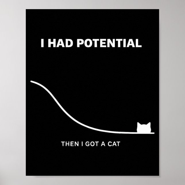Lustige Katze Ich hatte Potenzial Dann bekam ich e Poster (Vorne)